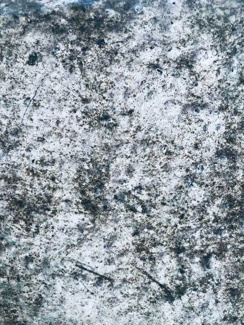 Mold risk after standing water in Eagle Lake, TX