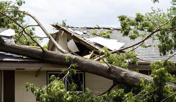 Tree limb punched through a shingle roof with torn shingles after Texas storm