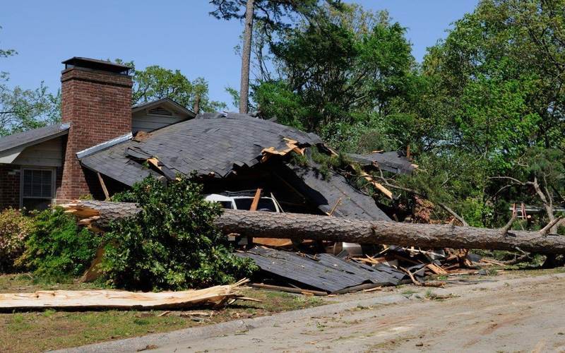 Fallen tree crushing a garage roof with shingles ripped off in Texas storm