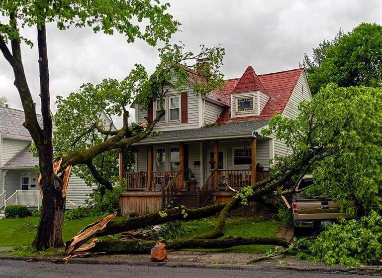 Large storm-felled tree fallen across the front of a Texas house